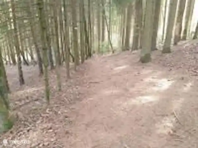 Maison Bonne Humeur Achouffe huren in België, Ardennen, Houffalize - gîte / cottage Prachtige omgeving die start vanaf het huisje