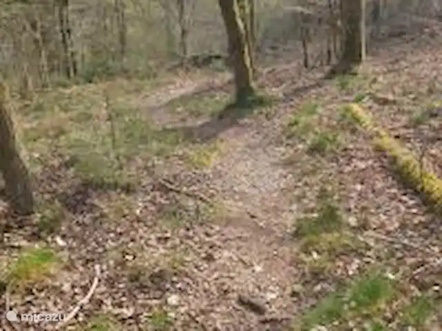 Maison Bonne Humeur Achouffe huren in België, Ardennen, Houffalize - gîte / cottage Prachtige omgeving die start vanaf het huisje