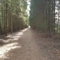 Schöne Umgebung, die vom Haus aus beginnt