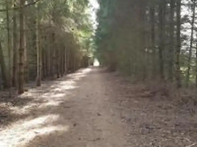 Maison Bonne Humeur Achouffe huren in België, Ardennen, Houffalize - gîte / cottage Prachtige omgeving die start vanaf het huisje