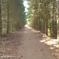 Schöne Umgebung, die vom Haus aus beginnt