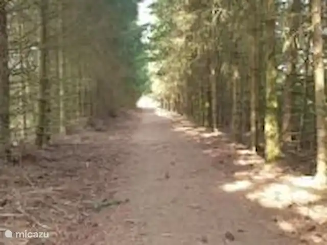 Maison Bonne Humeur Achouffe huren in België, Ardennen, Houffalize - gîte / cottage Prachtige omgeving die start vanaf het huisje