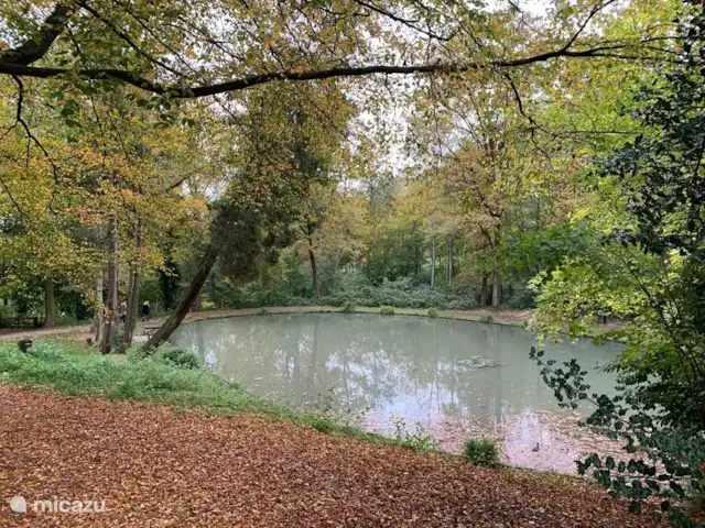 Vakantiehuis ontdek Zuid-Limburg huren in Nederland, Limburg, Simpelveld - vakantiehuis Wandelpad