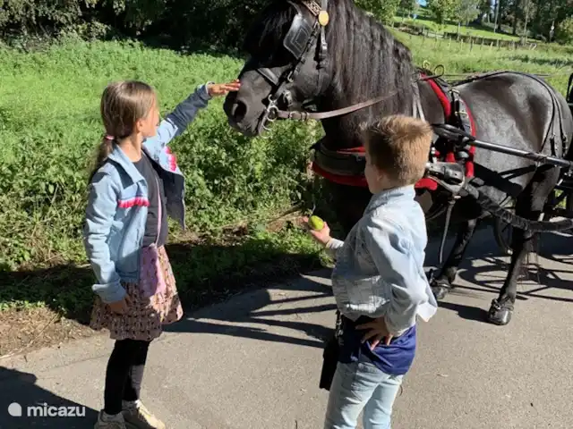 Vakantiehuis ontdek Zuid-Limburg huren in Nederland, Limburg, Simpelveld - vakantiehuis Koetstocht door de groene vallei