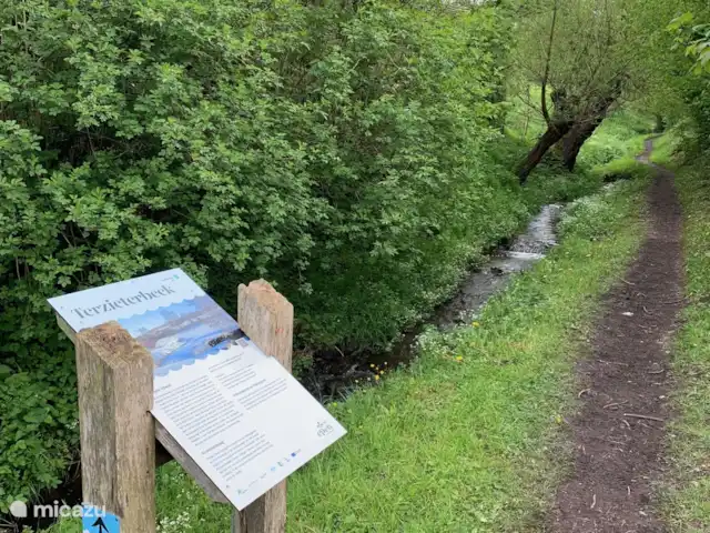 Vakantiehuis ontdek Zuid-Limburg huren in Nederland, Limburg, Simpelveld - vakantiehuis Wandelpad