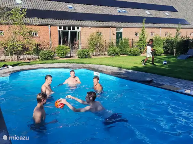La Herenboerderij | Pays-Bas, Drenthe, Deuxième Exloërmond - ferme La grande piscine