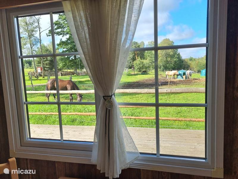 Holiday home in Sweden, Halland, Falkenburg Mobile home EddyLou Ranch : Indiana Villa