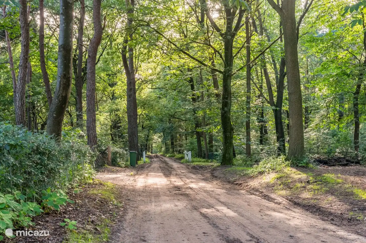 Die wunderschöne Umgebung des Lunters-Nachbarschaftswaldes