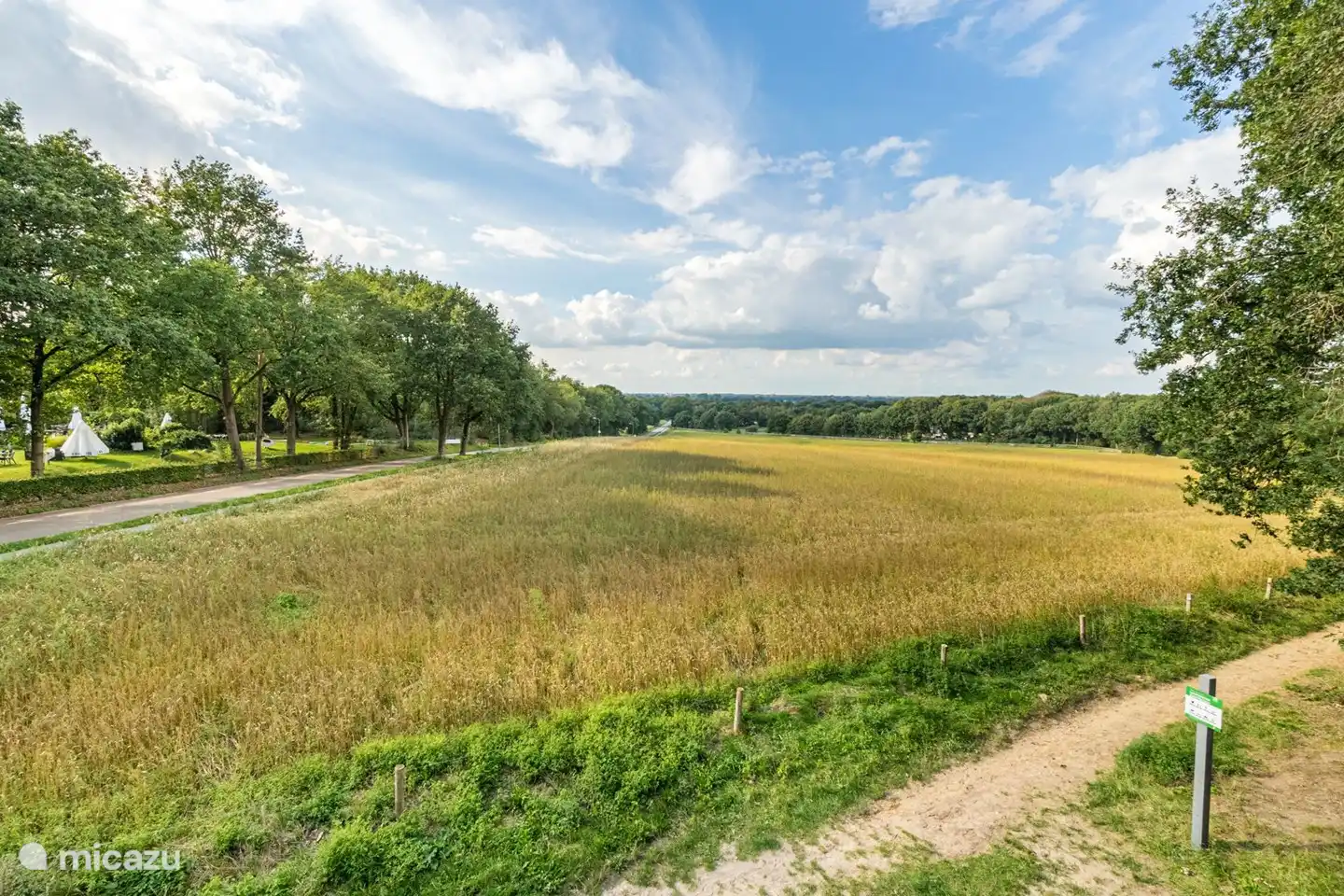 Die schöne Umgebung