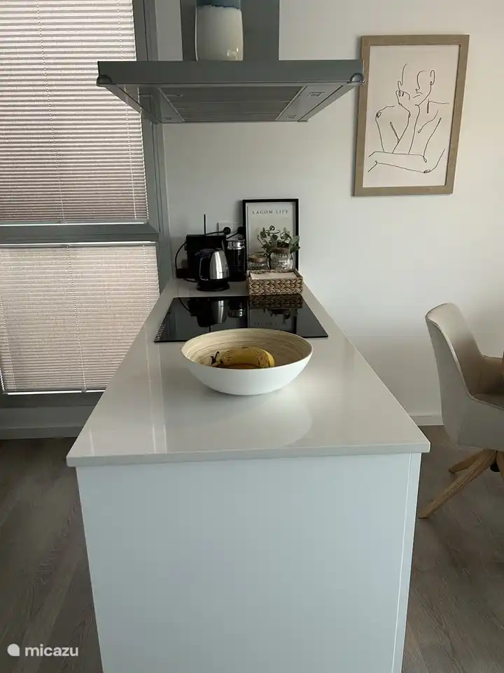 Küche/Kochbereich mit Induktionskochfeld