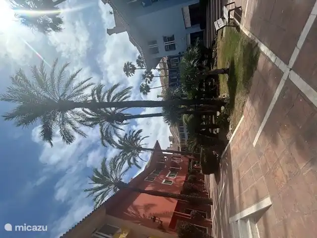 Hafen von Sotogrande