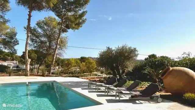 There are eight sunbeds in the garden