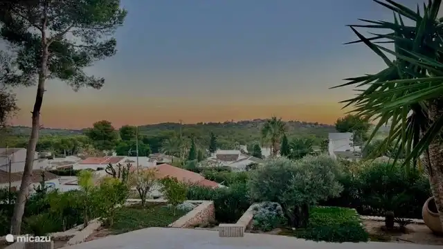 View from the garden