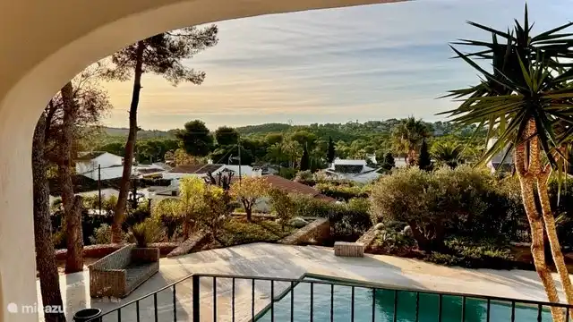 View from the garden