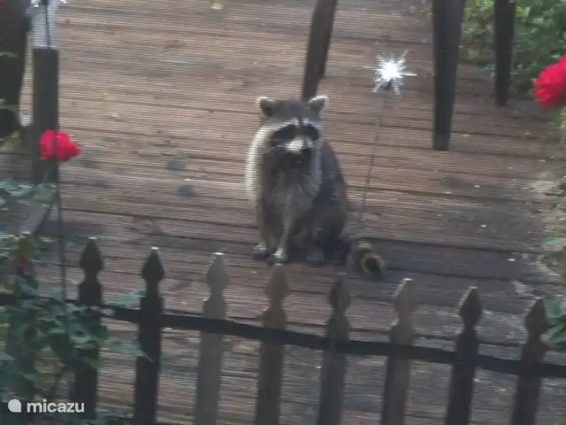 Piscina increíble y cerca de Disney. en Estados Unidos, Florida, Davenport - villa un visitante