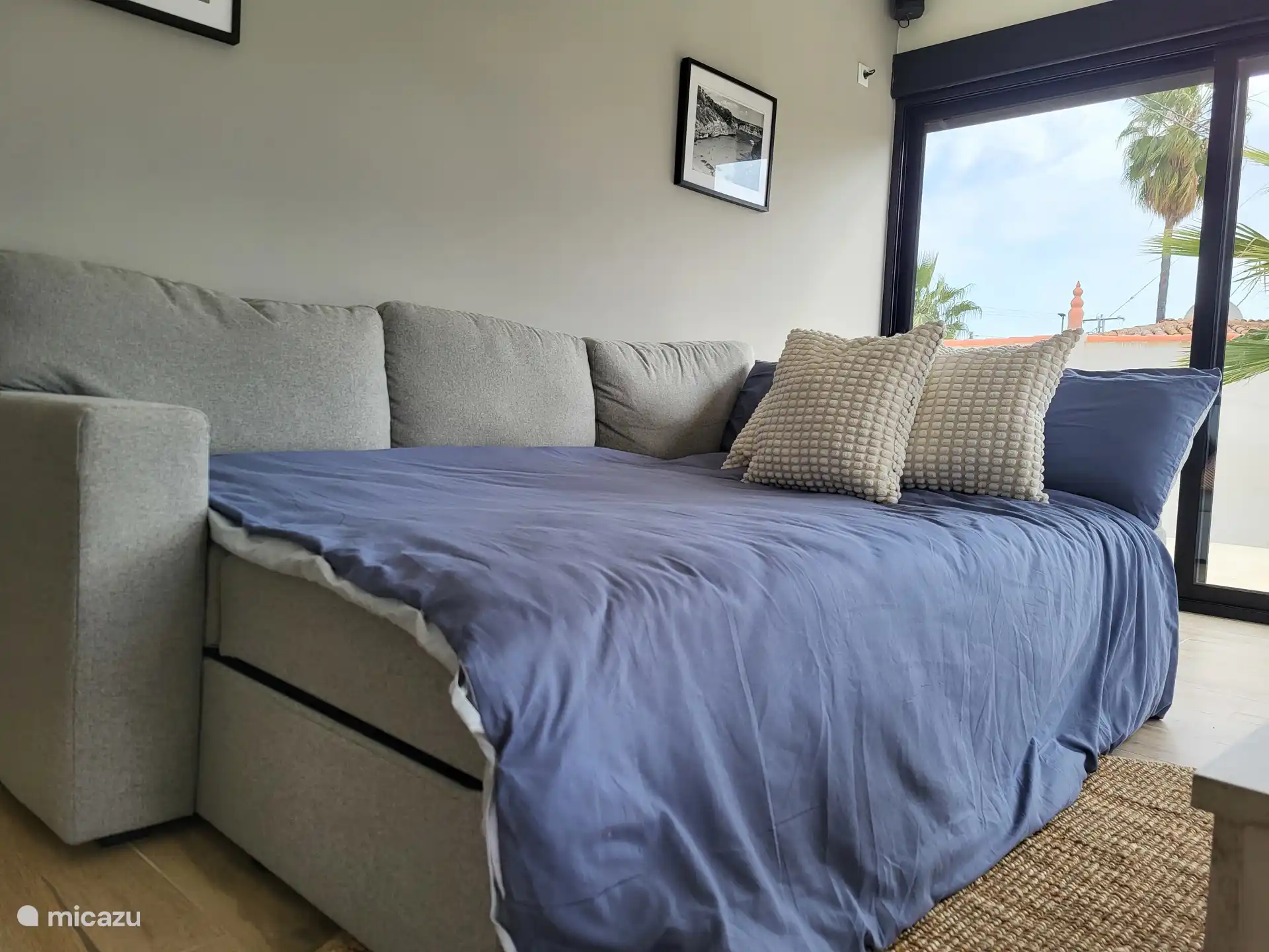 Sofa bed in the living room