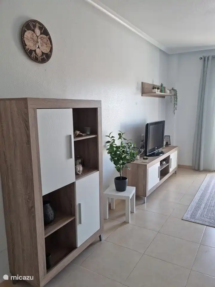 televisie met Google home.