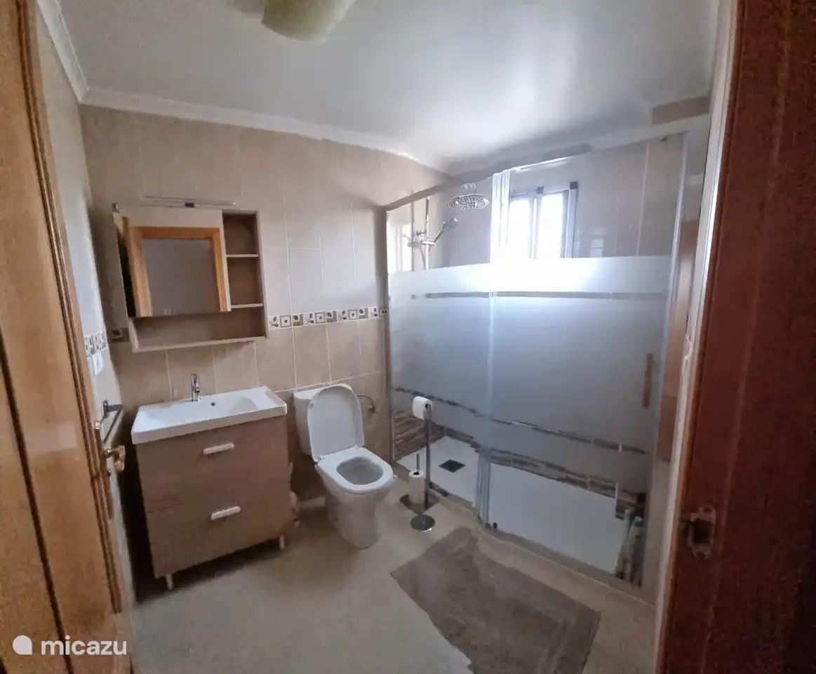 Badkamer met wastafel, toilet en inloopdouche met regendouche