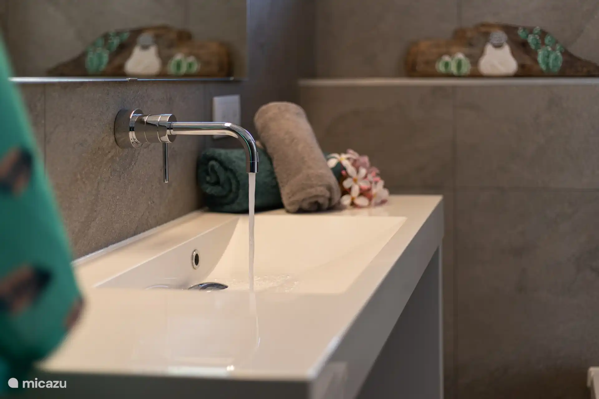 Bathroom with both 110V and 220V wall sockets