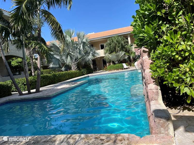 Ferienwohnung Curaçao, Banda Ariba (Ost), Cas Grandi Appartement 2-Zimmer-Wohnung mit großem Pool!