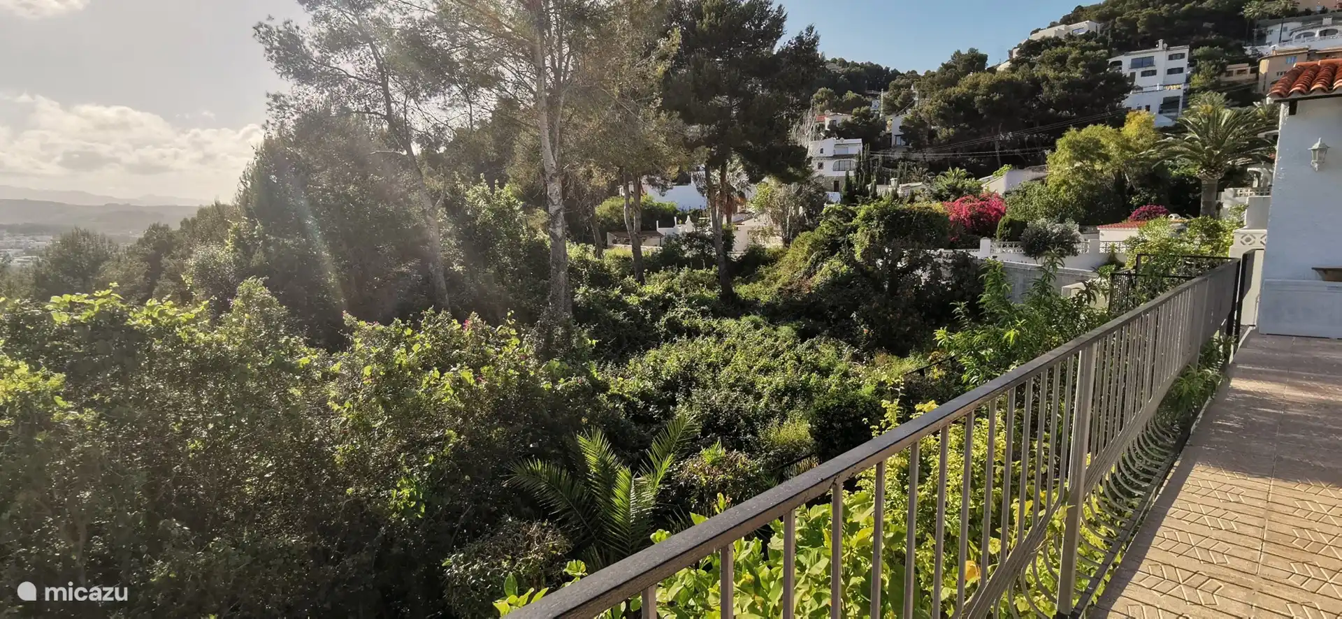 Die grüne Einstellung