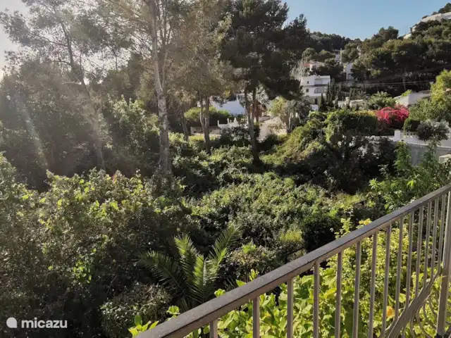 Casa Mar y Sol en España, Costa Blanca, Moraira - villa El entorno verde