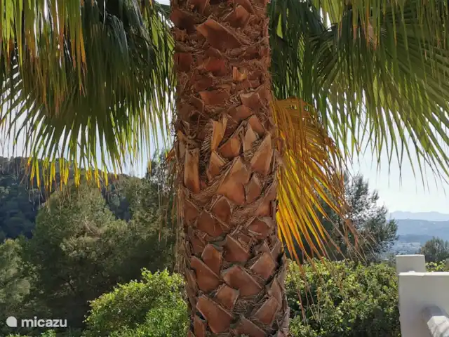 Casa Mar y Sol en España, Costa Blanca, Moraira - villa Bonita vista