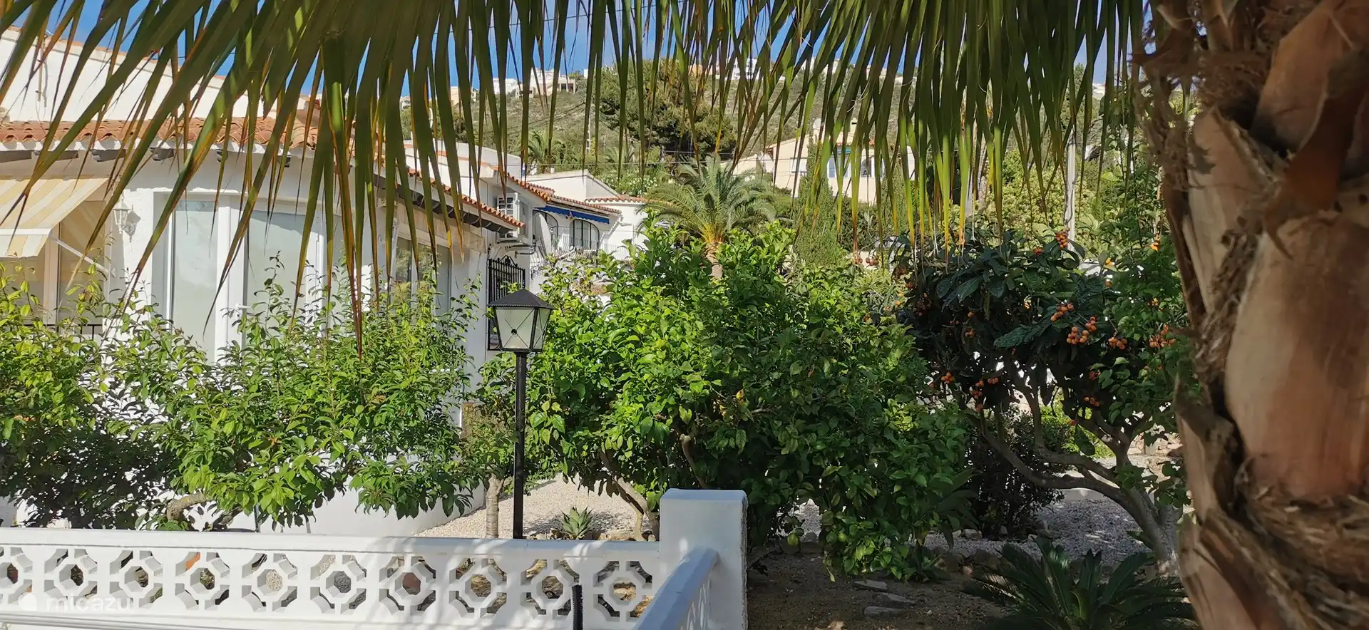 Schöner grüner Garten mit Obstbäumen