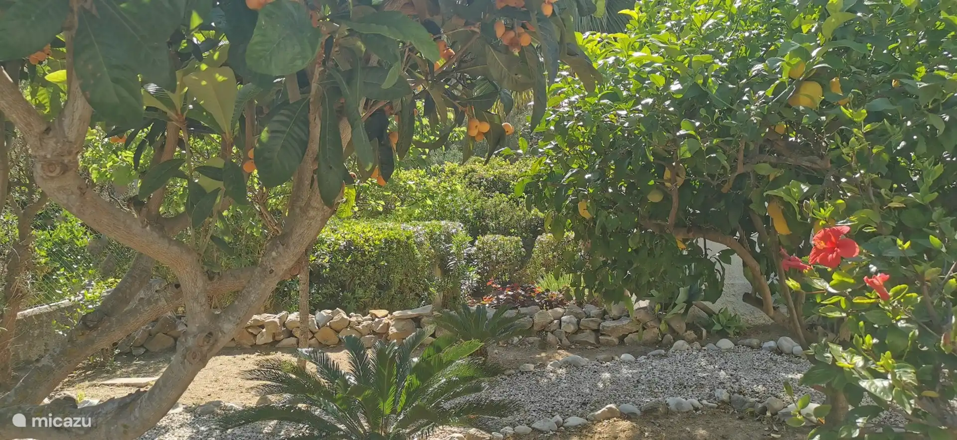 Schöner grüner Garten mit Obstbäumen