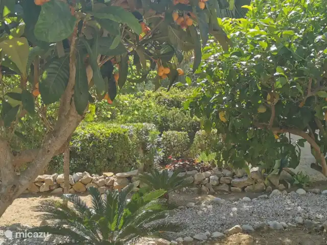 Casa Mar y Sol en España, Costa Blanca, Moraira - villa Bonito jardín verde con árboles frutales