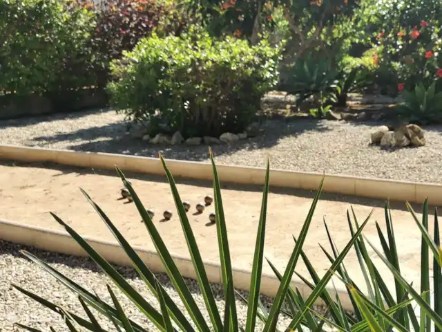 Casa Mar y Sol en España, Costa Blanca, Moraira - villa Bolera