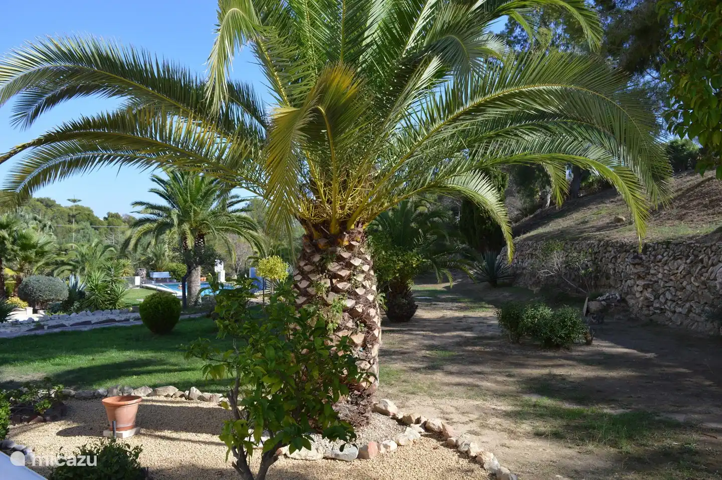 Piscine commune dans un petit parc