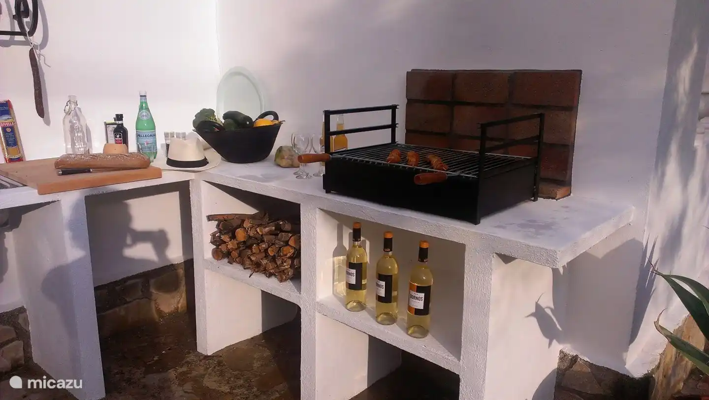 Belle cuisine extérieure avec barbecue