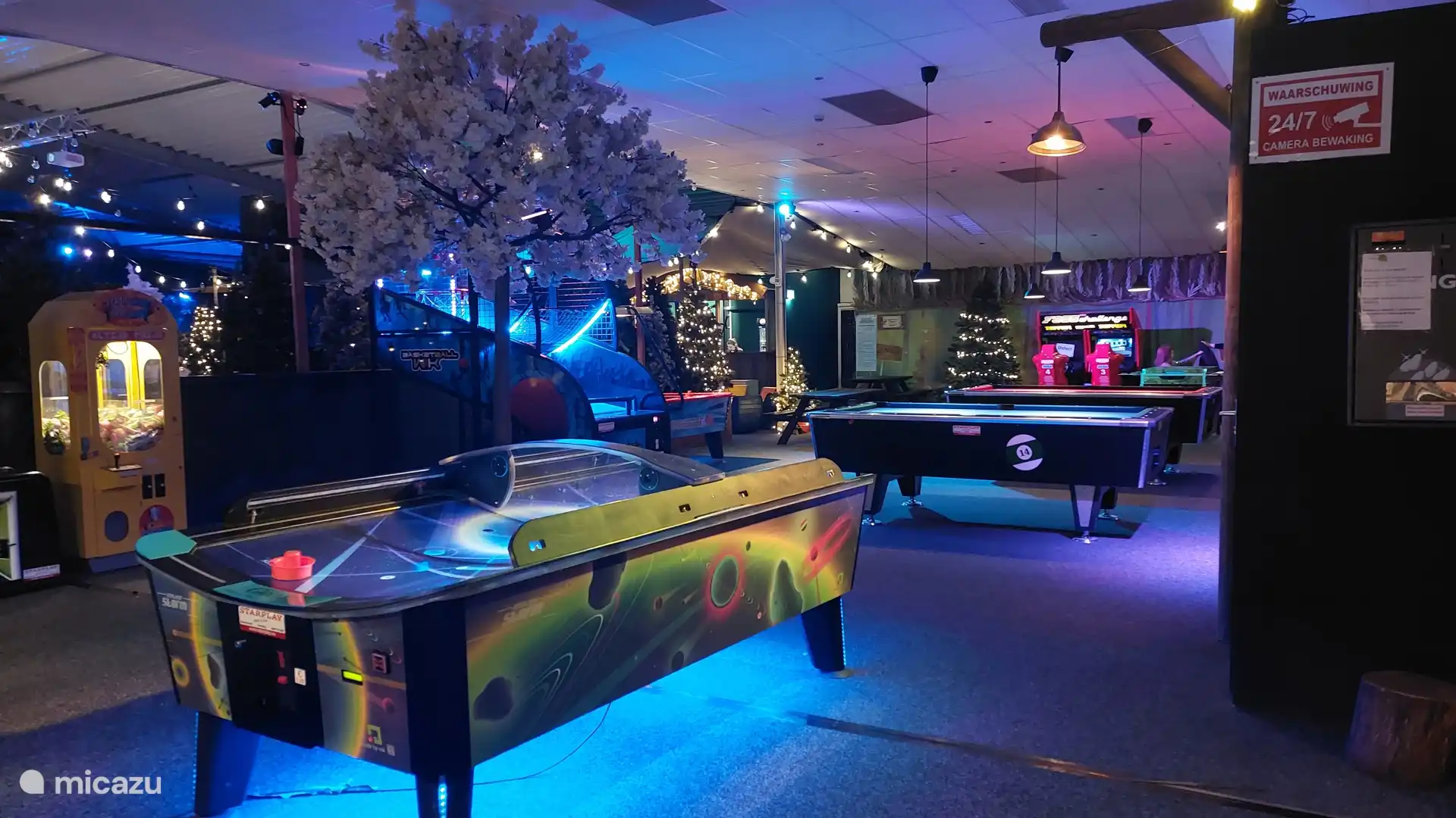 Funhal met diverse spellen en Poolbiljart 