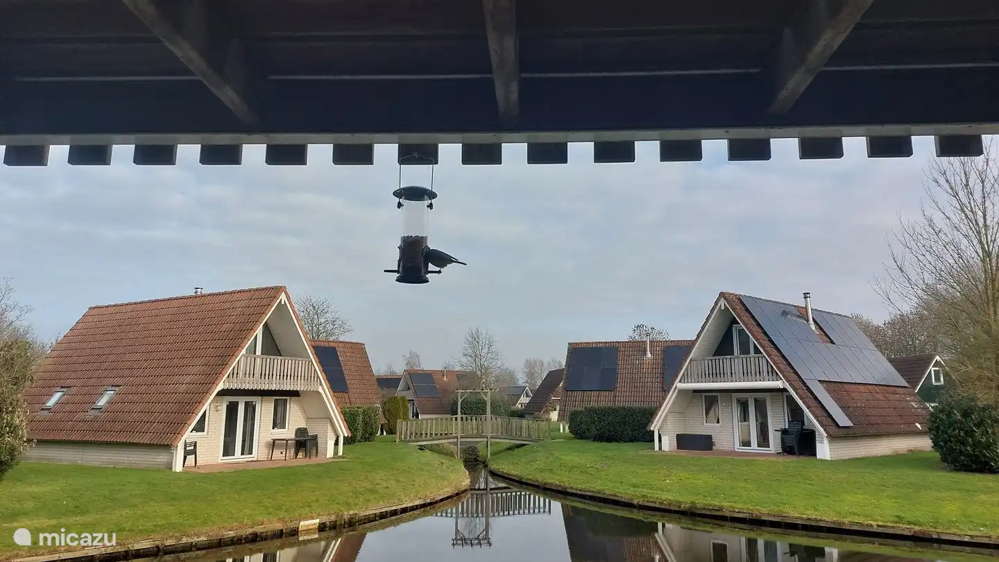 nuestra hermosa vista