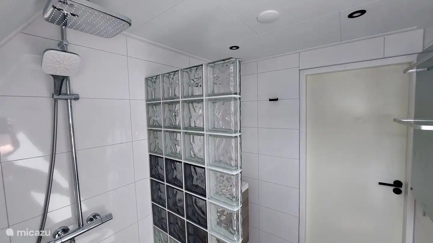 Ducha de lluvia de lujo