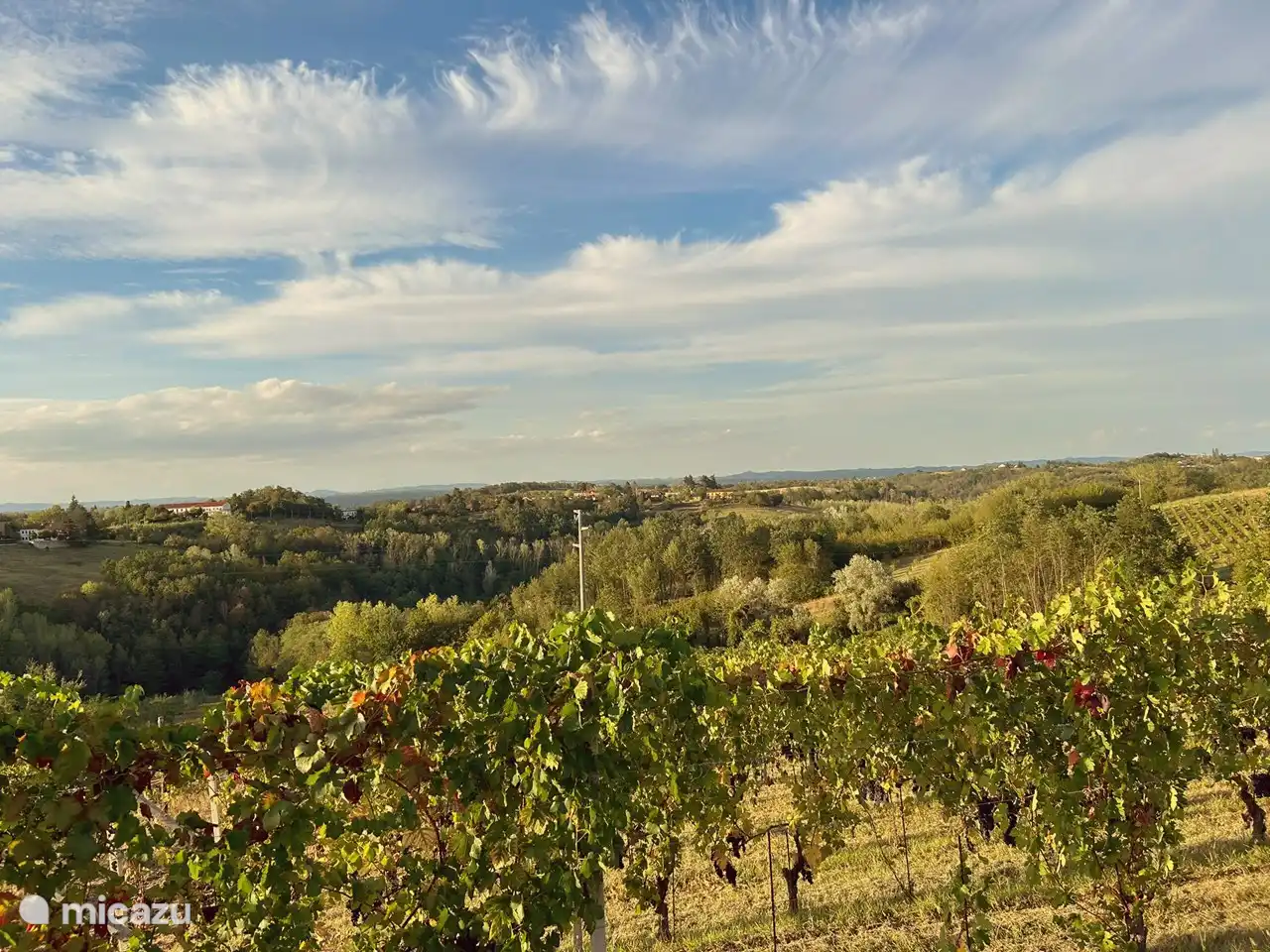 Blick auf die Rückseite des Parkplatzes