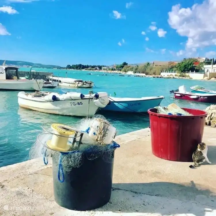 Überall kleine Häfen