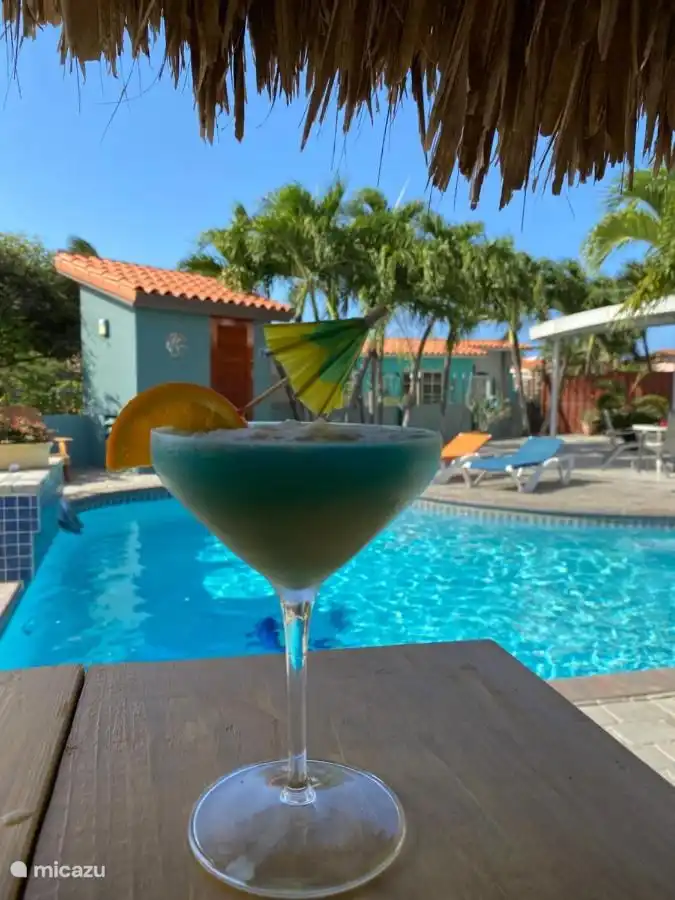 Oder genießen Sie ein köstliches kaltes Getränk, wenn Sie Zeit haben. Aruba kennt keine Zeit und wenn Sie hier sind, ist immer Happy Hour