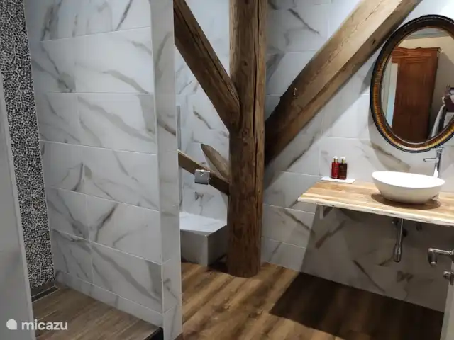 Ferme Manoir Exloermond | Pays-Bas, Drenthe, Deuxième Exloërmond - ferme Salle de bain du Crocodile Jaune