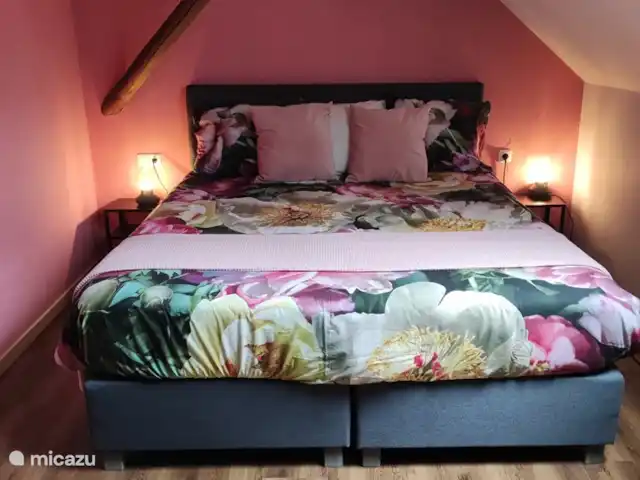 Ferme Manoir Exloermond | Pays-Bas, Drenthe, Deuxième Exloërmond - ferme La chambre rose