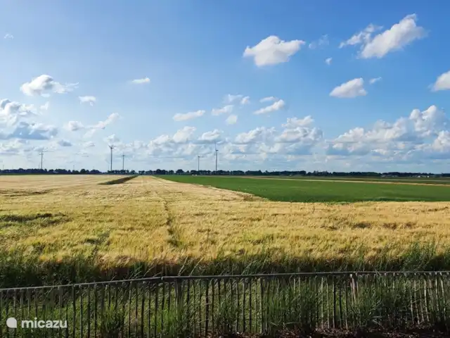 Ferme Manoir Exloermond | Pays-Bas, Drenthe, Deuxième Exloërmond - ferme Vue derrière
