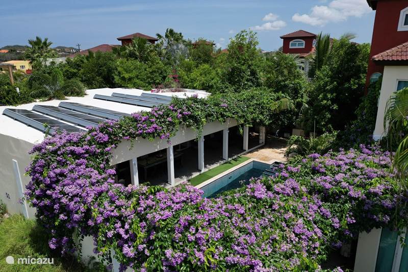 Holiday home Aruba, Noord, Salina Cerca Villa Villa top location with private Pool