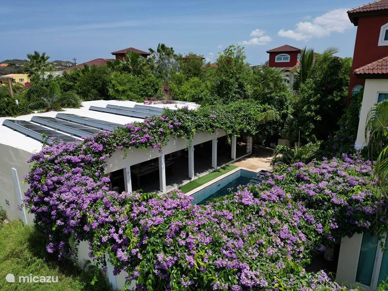 Vakantiehuis Aruba, Noord, Salina Cerca Villa Villa top location with private Pool