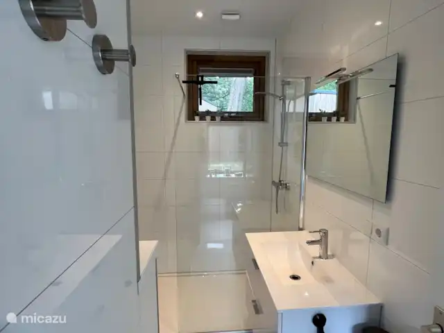 Maison de vacances Holt à Norg | Pays-Bas, Drenthe, Norg - maison de vacances salle de bain avec douche, WC et lavabo