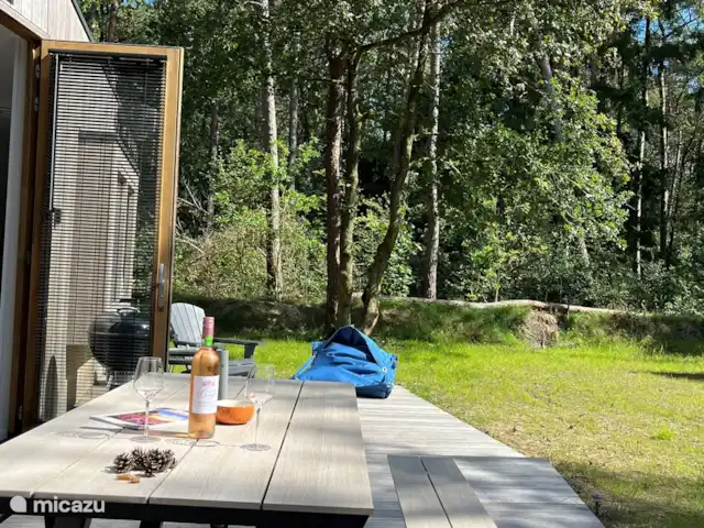 Maison de vacances Holt à Norg | Pays-Bas, Drenthe, Norg - maison de vacances manger à la table de pique-nique ; sur la terrasse
