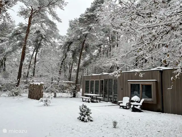 Maison de vacances Holt à Norg | Pays-Bas, Drenthe, Norg - maison de vacances L’hiver à Norg