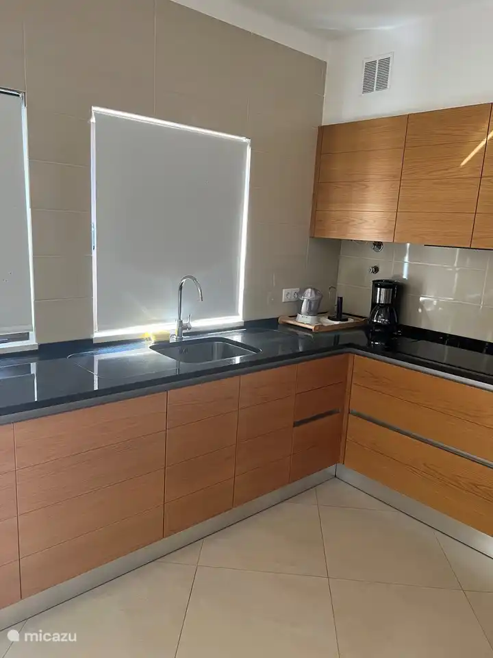 Die offene Küche mit allen grundlegenden Einrichtungen. Es gibt auch einen Geschirrspüler und eine Waschmaschine.