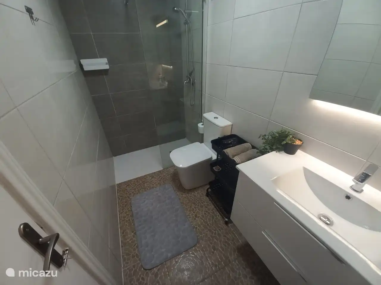 Bathroom is on the ground floor, no steps.