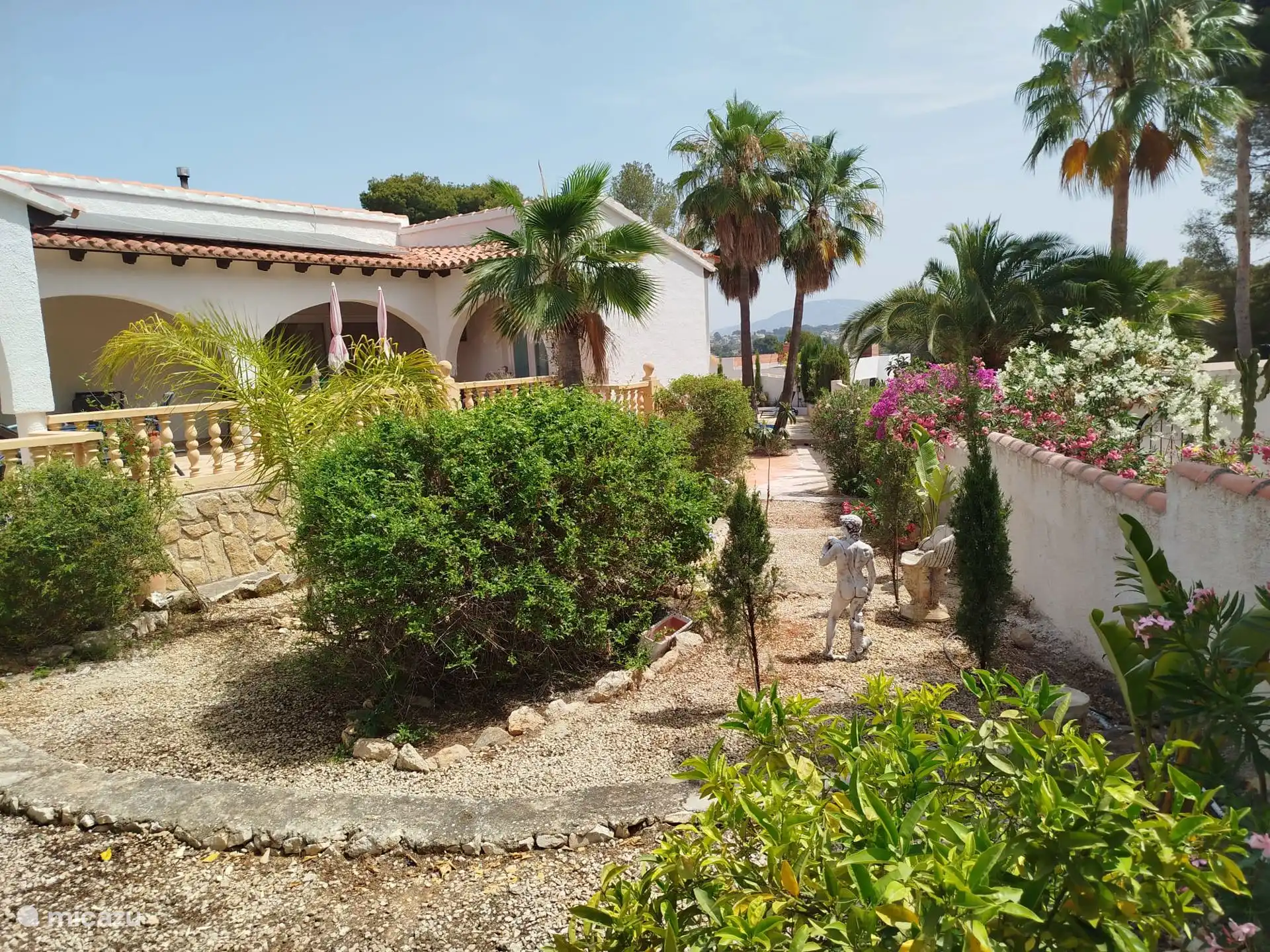 Vue sur le jardin Casa Elefante